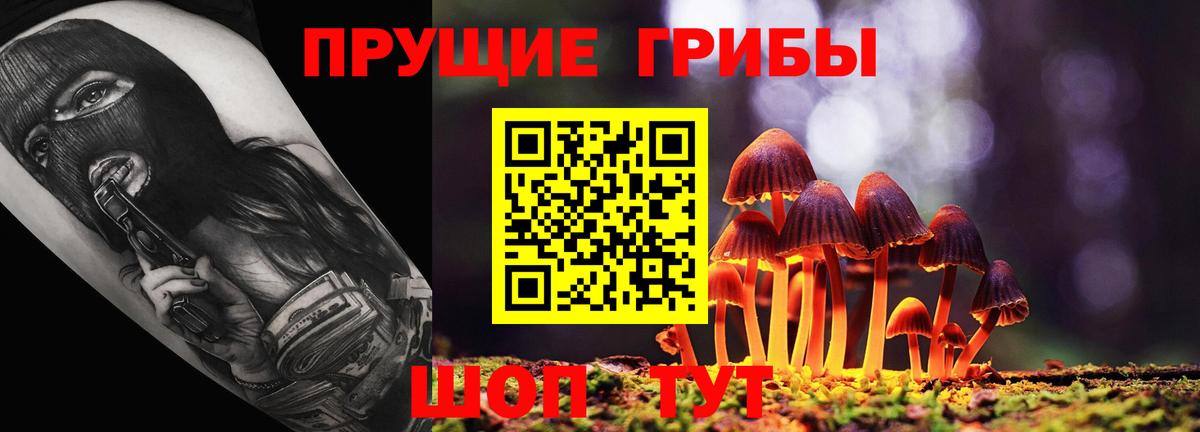 Галлюциногенные грибы мицелий  Вход с VPN  Псилоцибиновые грибы ЛСД  Ачинск 